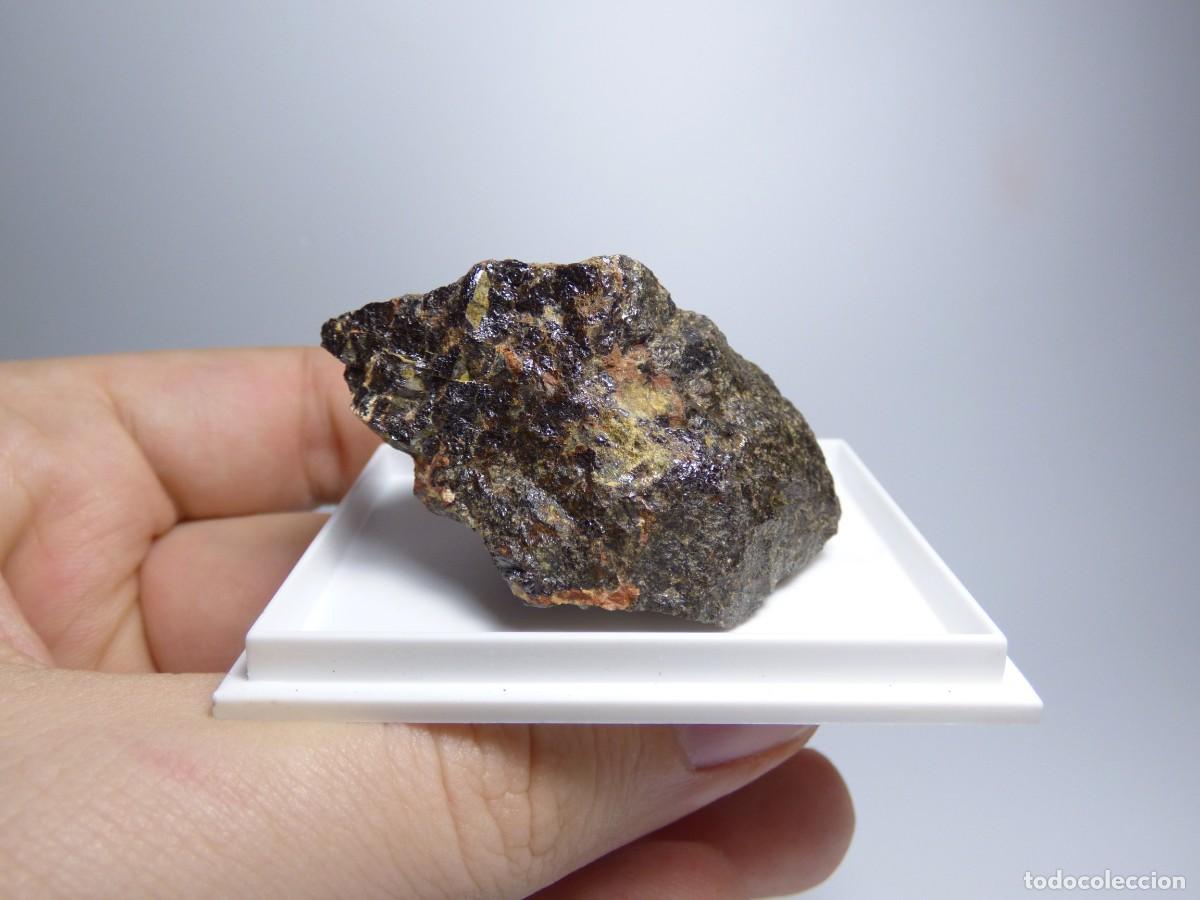 Coleccionismo de minerales: ✅FDMINERALS✅ ⚒️ SAMARSKITA (Y) ⚒️ White Cap. Pegmatite, Jefferson Co., Colorado, USA - er177