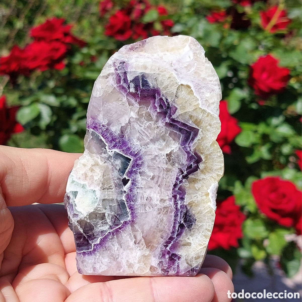 Coleccionismo de minerales: Fluorita Mineral Bruto Natural Multicolor 10cm
