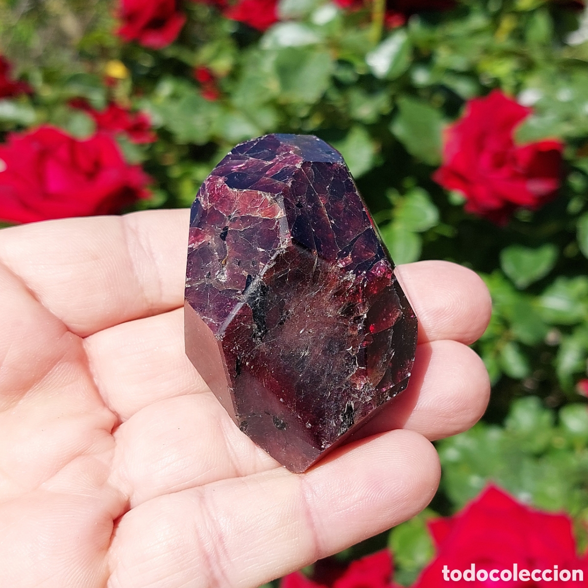 Coleccionismo de minerales: Granate Natural Pulido 165g Procedente de La India