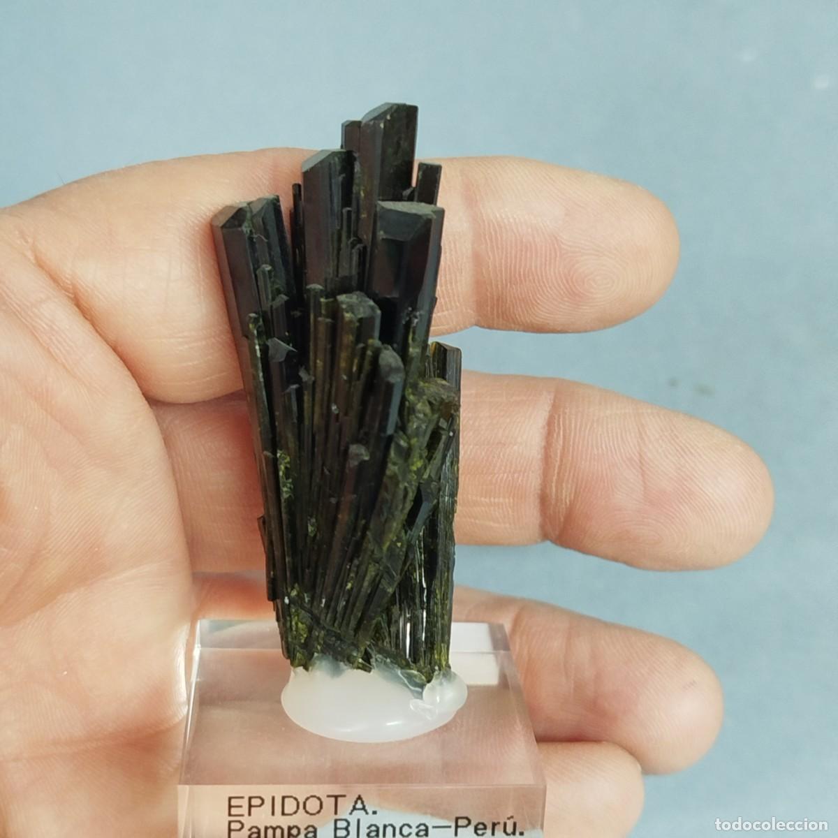 Coleccionismo de minerales: EPIDOTA - MINERAL . Per&uacute; - Foto 5