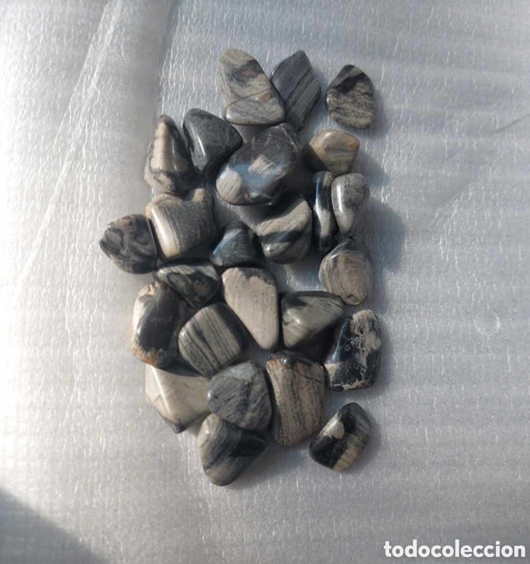 Coleccionismo de minerales: 25 piezas de jaspe hoja de plata