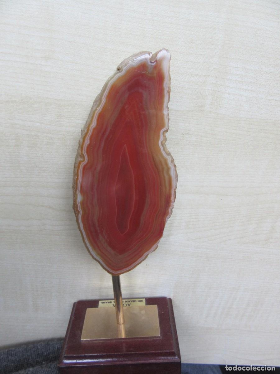 Sammlung von Mineralien: Bonita pieza de &aacute;gata con soporte madera Rio Grande do Sul Brasil Medidas &aacute;gata 14,5 x 6,5 x 2,1 cm