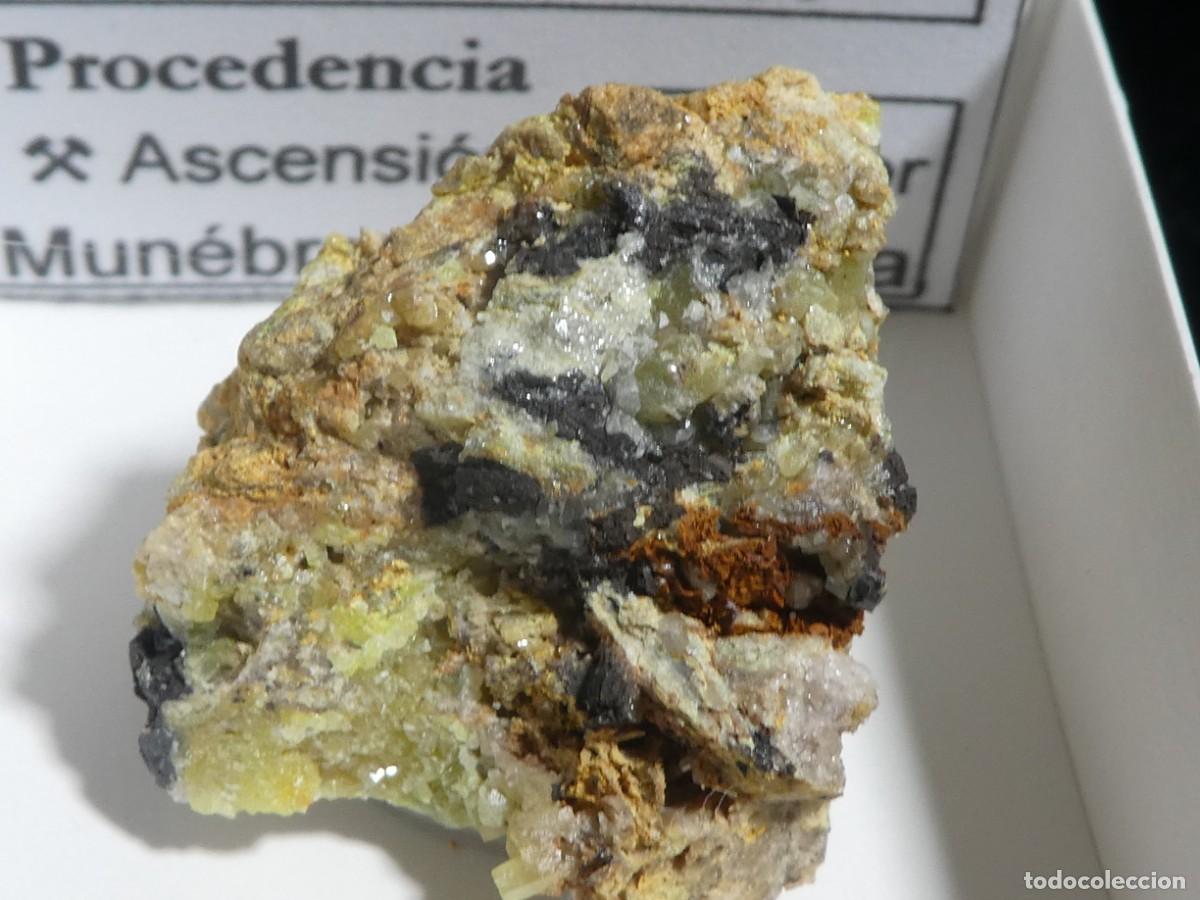 Coleccionismo de minerales: (015) CESAROLITA + PIROMORFITA, ZARAGOZA, ESPA&Ntilde;A.