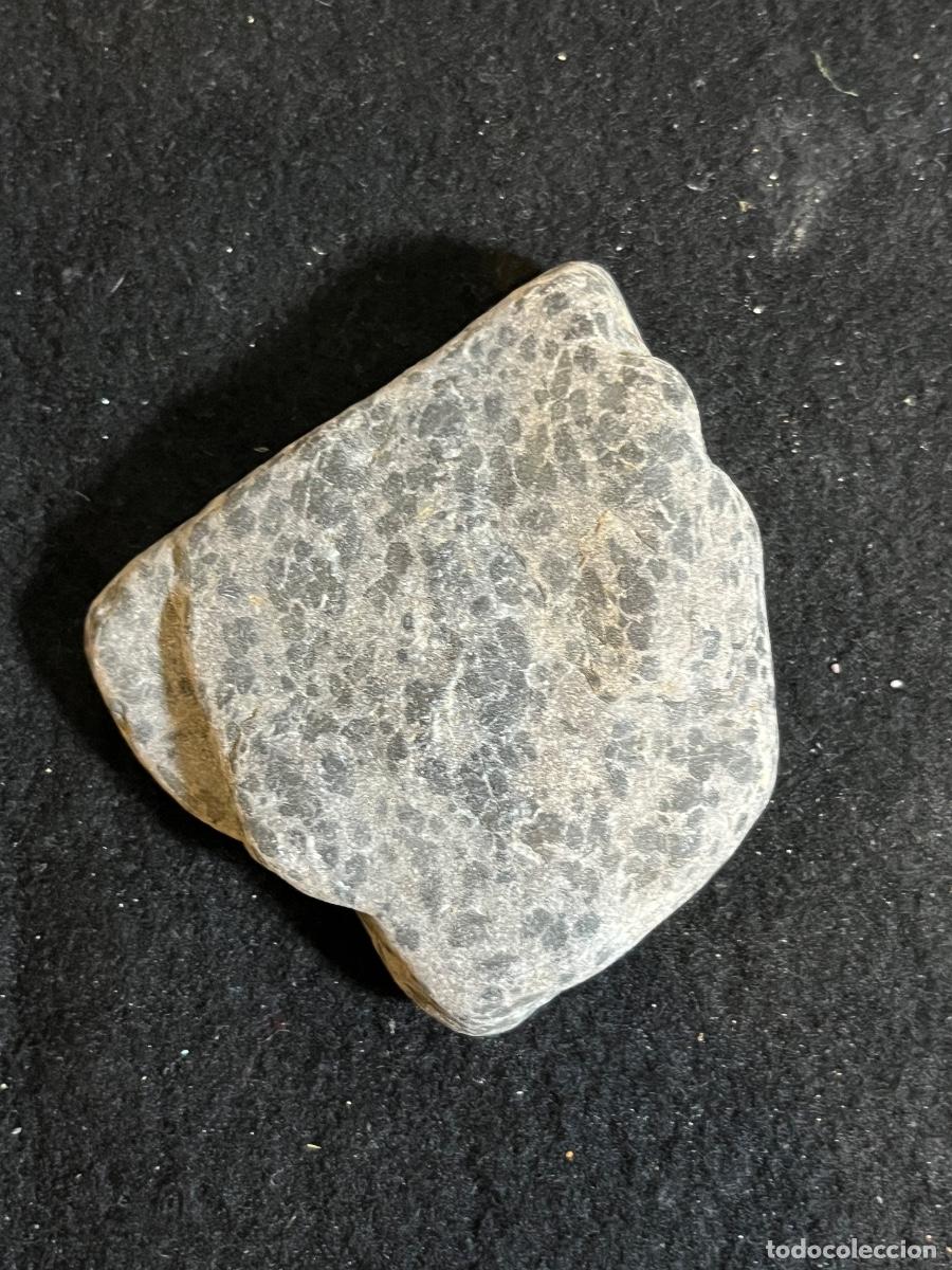 Collectionnisme de min&eacute;raux: Gabro natural roca &iacute;gnea moteada vintage geolog&iacute;a mineral colecci&oacute;n volc&aacute;nica