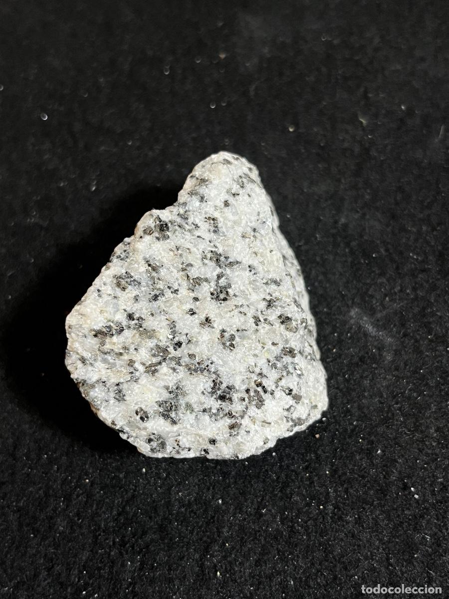 Mineral collecting: Granito natural tonalita granodiorita roca &iacute;gnea vintage geolog&iacute;a colecci&oacute;n mineral