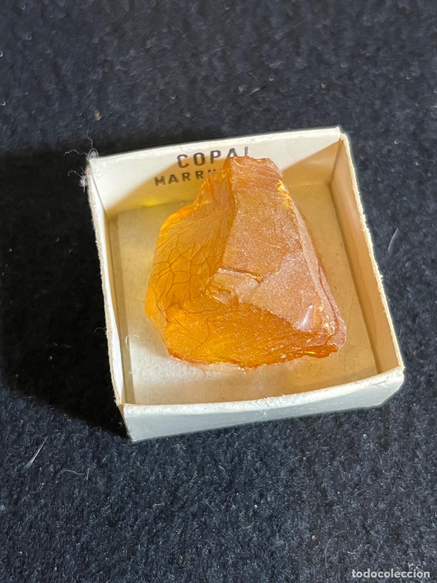 Mineral collecting: Copal Marruecos resina f&oacute;sil natural &aacute;mbar joven mineral colecci&oacute;n vintage