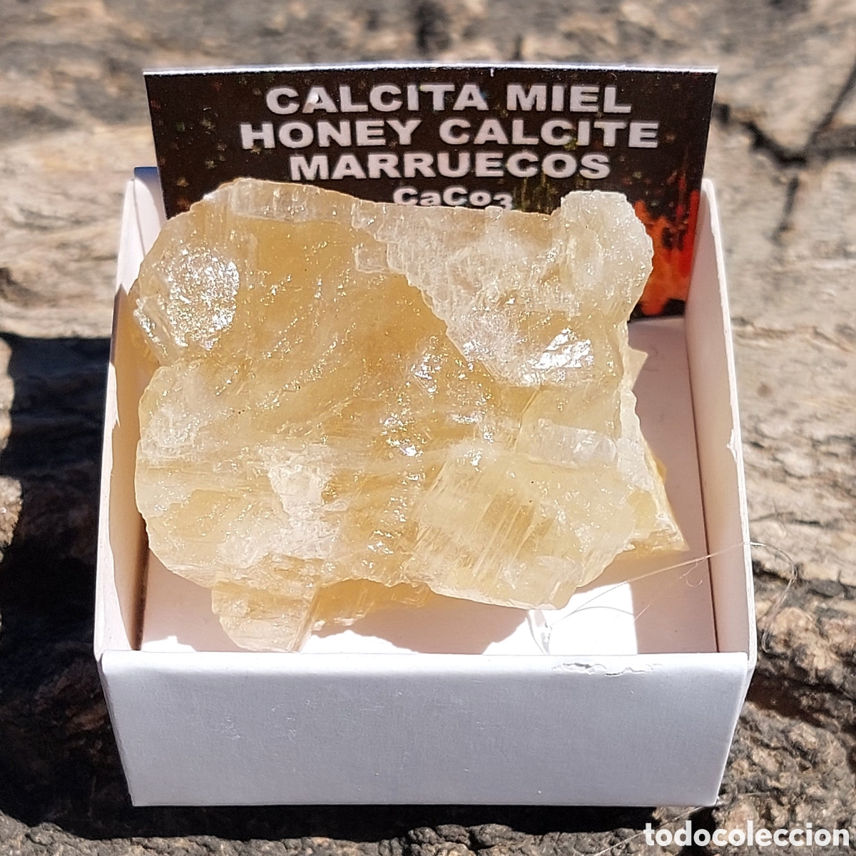 Coleccionismo de minerales: Calcita Miel de Marruecos en Cajita de Colecci&oacute;n 4 x 4cm