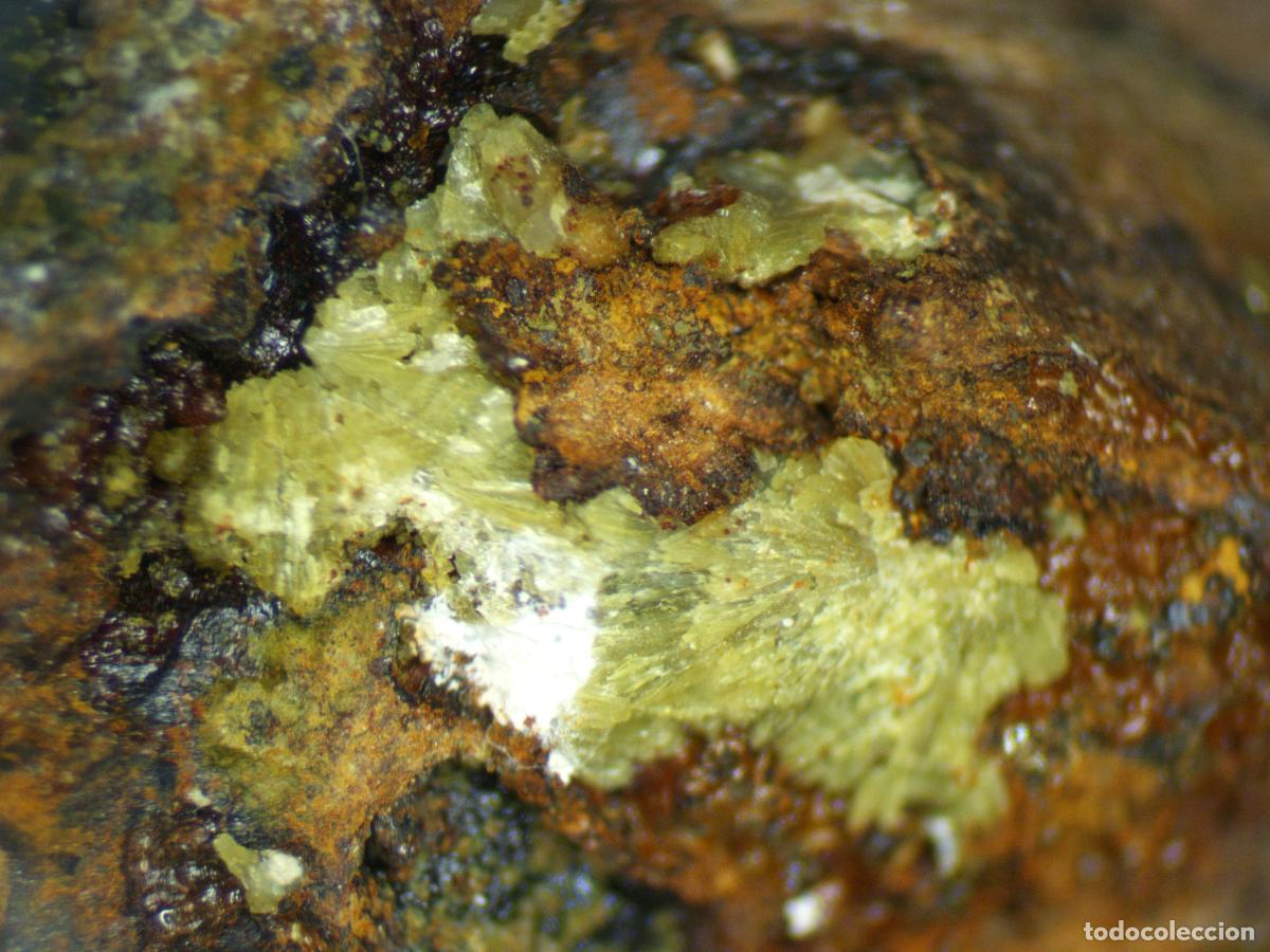 Coleccionismo de minerales: CALCIOFERRITA cristales de color verde + otros minerales - Mina Elvira, Gav&agrave; (Barcelona)