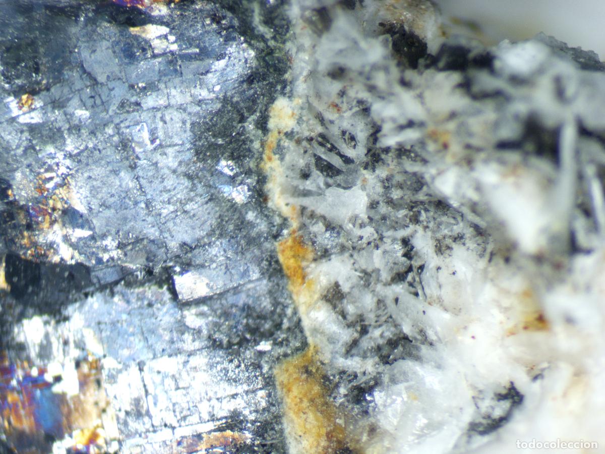 Coleccionismo de minerales: GALENA sobre BARITA mineral - El Molar (Tarragona) - MINERALES DE COLECCI&Oacute;N