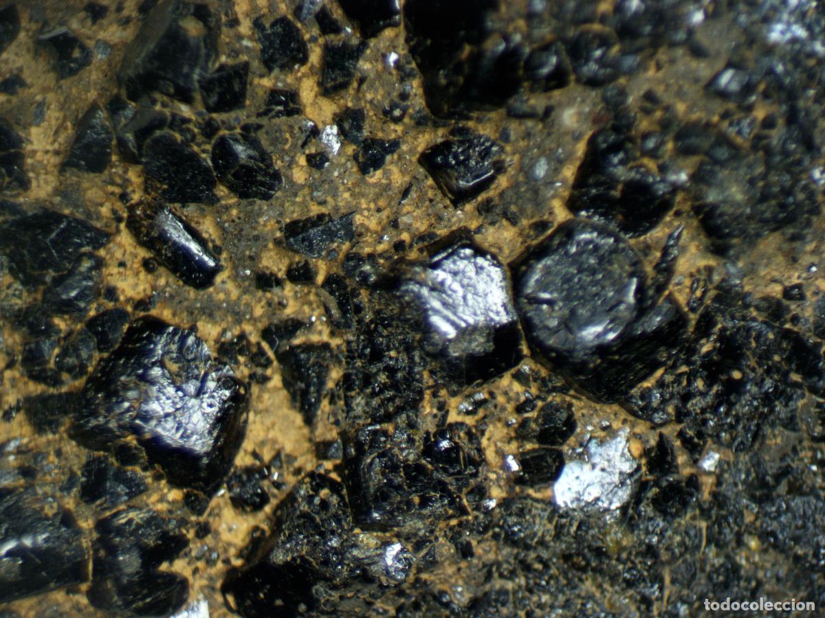 Coleccionismo de minerales: AUGITA Cristales mineral de origen volc&aacute;nico - Santa Pau (Girona) - MINERALES DE COLECCI&Oacute;N