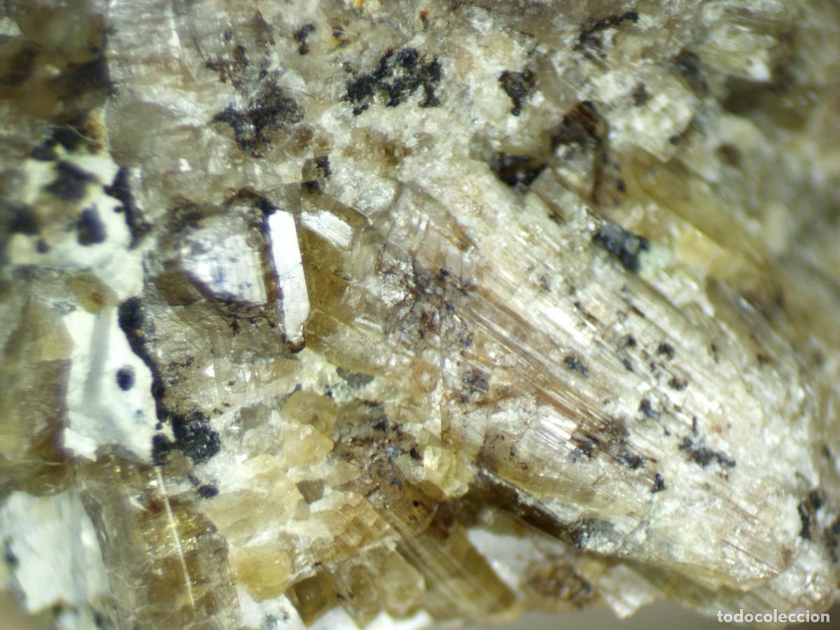 Coleccionismo de minerales: VESUVIANITA Cristales - Mina Can Montsant, Horsavinya, Tordera (Barcelona) - MINERALES DE COLECCI&Oacute;N