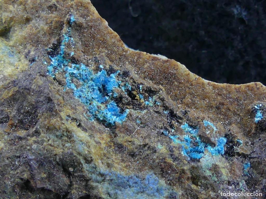 Coleccionismo de minerales: Lavendulana, Mazarr&oacute;n, Murcia