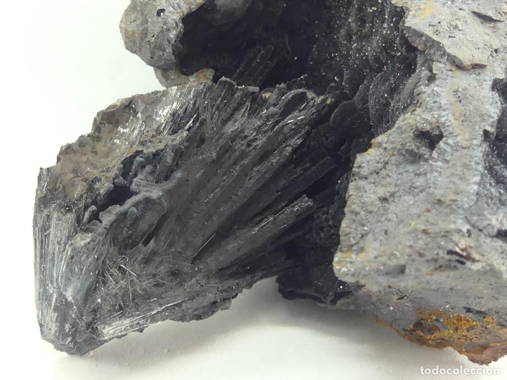 Coleccionismo de minerales: Pirolusita y goethita, Portugal