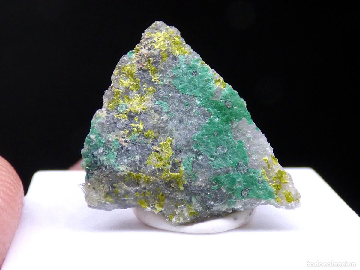 Coleccionismo de minerales: ✅FDMINERALS✅ ⚒️ VOLBORTITA ⚒️ Copper Hill, Picuris, Taos, Nuevo M&eacute;xico, EE.UU - er185