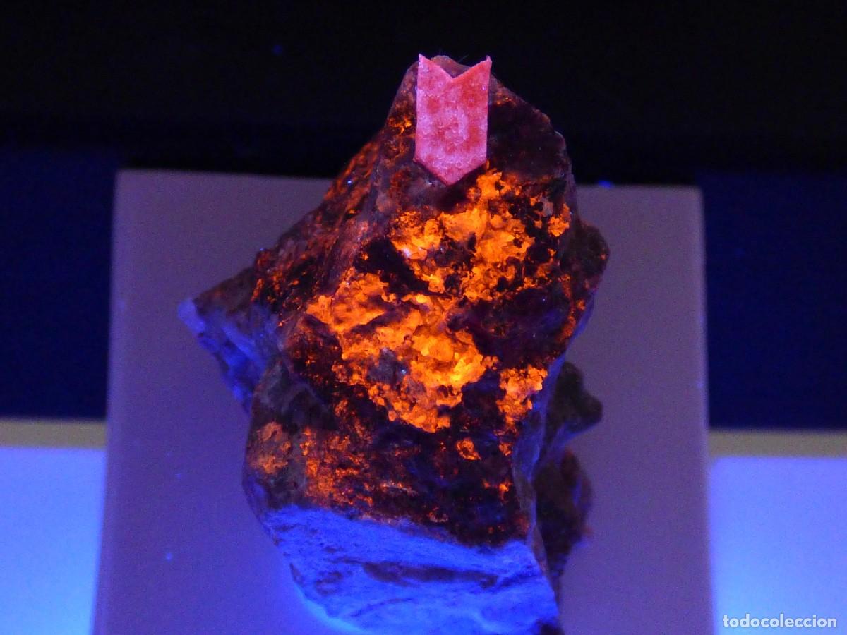 Coleccionismo de minerales: ✅FDMINERALS✅ ⚒️ CALOMELANO, EGLESTONITA, MERCURIO NATIVO Y CINABRIO ⚒️ Usagre, Badajoz - er219