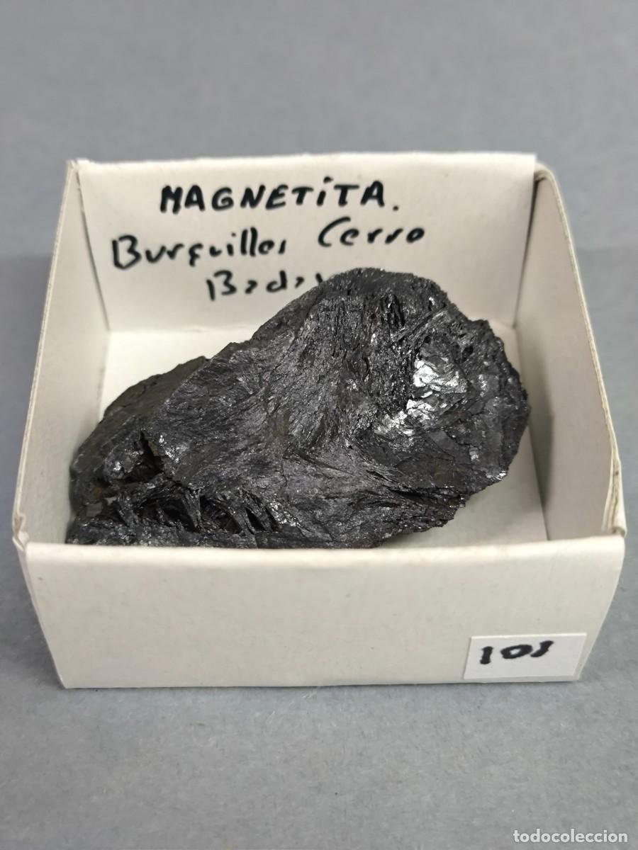 Coleccionismo de minerales: MAGNETITA - MINERAL. 4X4 . Badajoz