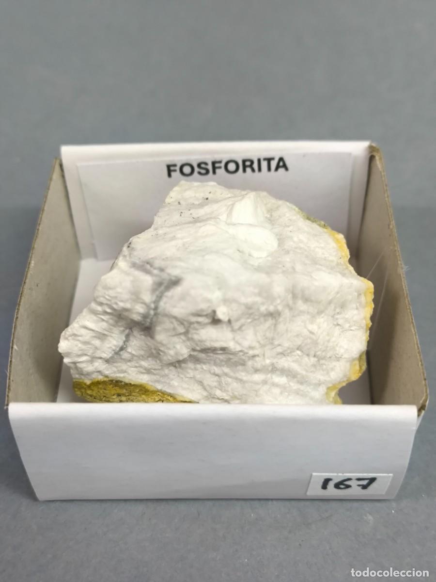 Coleccionismo de minerales: FOSFORITA - MINERAL. C&aacute;ceres. 4x4