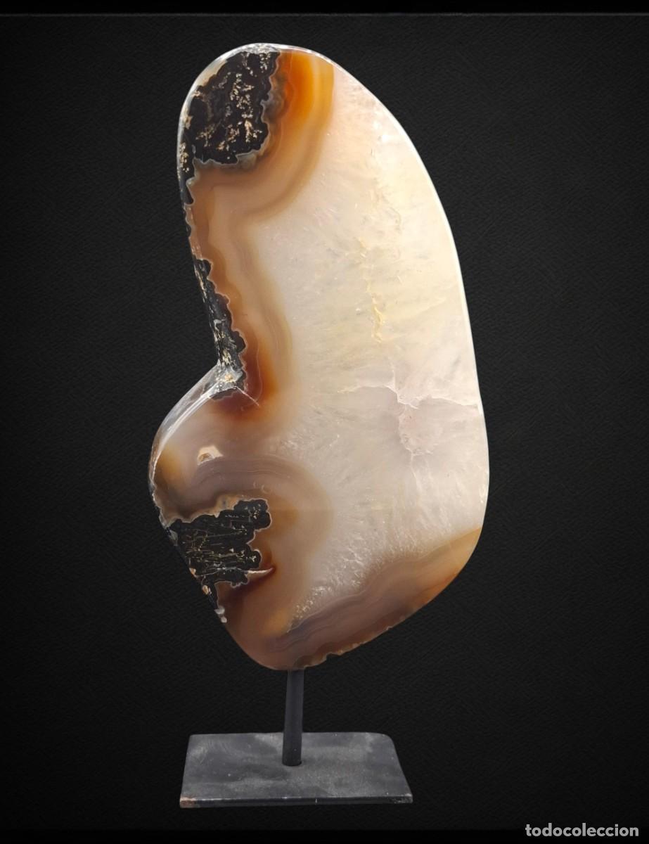 Coleccionismo de minerales: + PLACA DECORATIVA DE AGATA FULL PULISH EN PEANA DE EXPOSICION