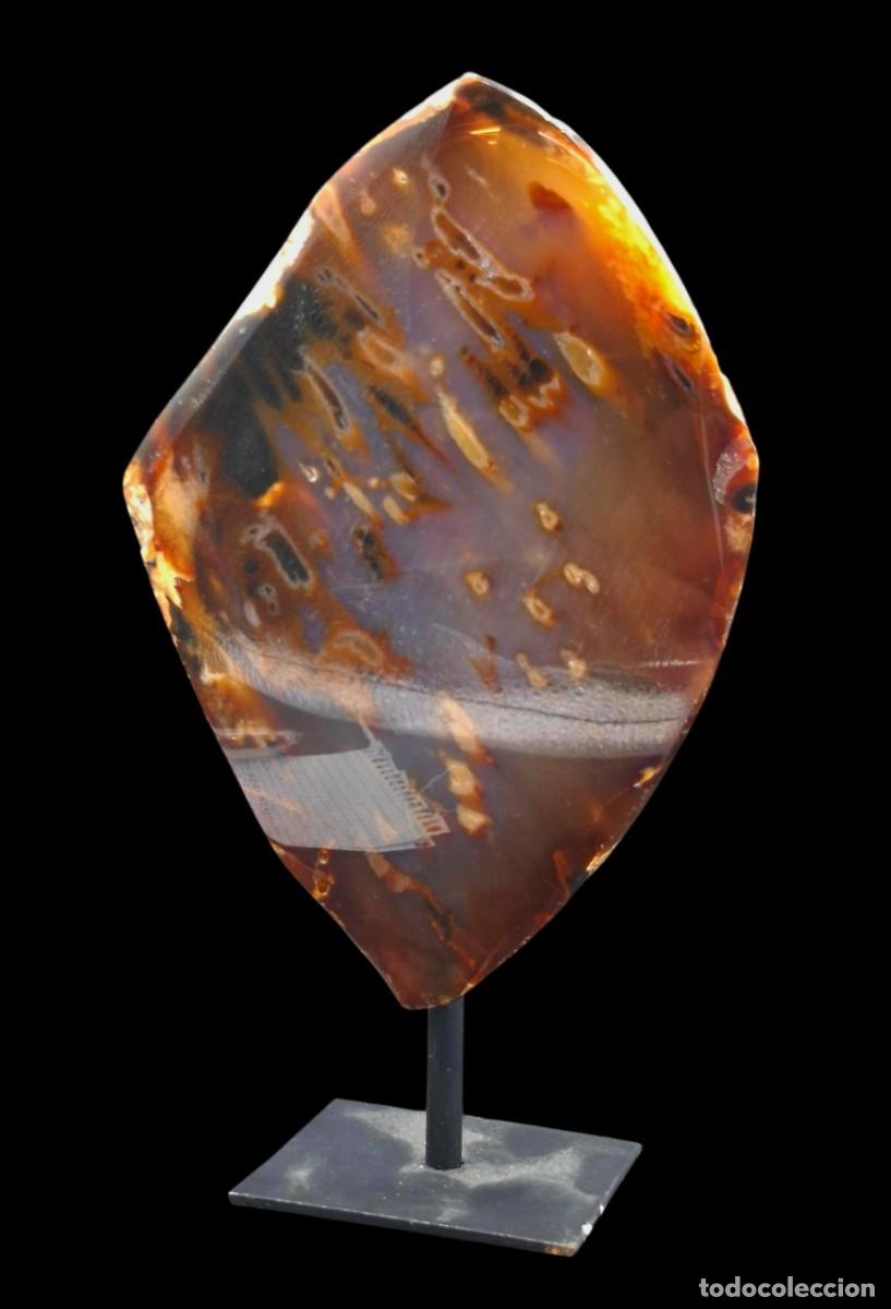 Coleccionismo de minerales: + MUY DECORATIVA PLACA DE AGATA EN PEANA EXPOSICION