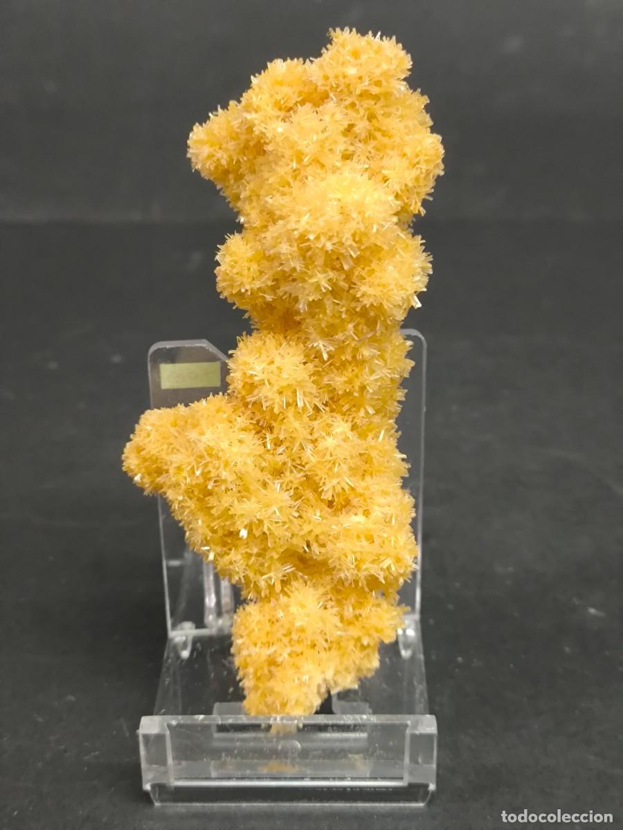 Coleccionismo de minerales: YESO - MINERAL. Guadalajara