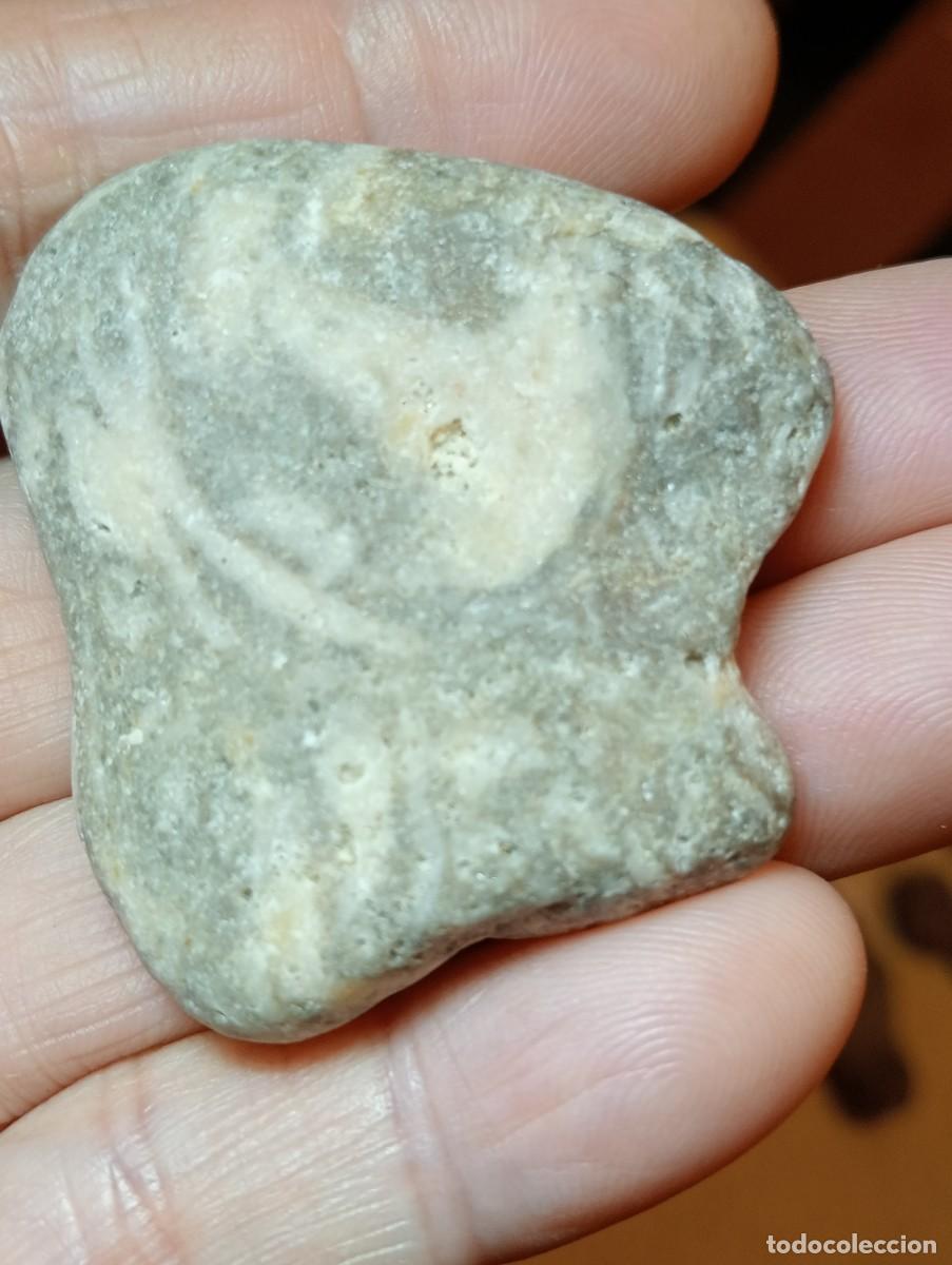 Coleccionismo de minerales: RARA PIEDRA DE F&Oacute;SIL MARINO