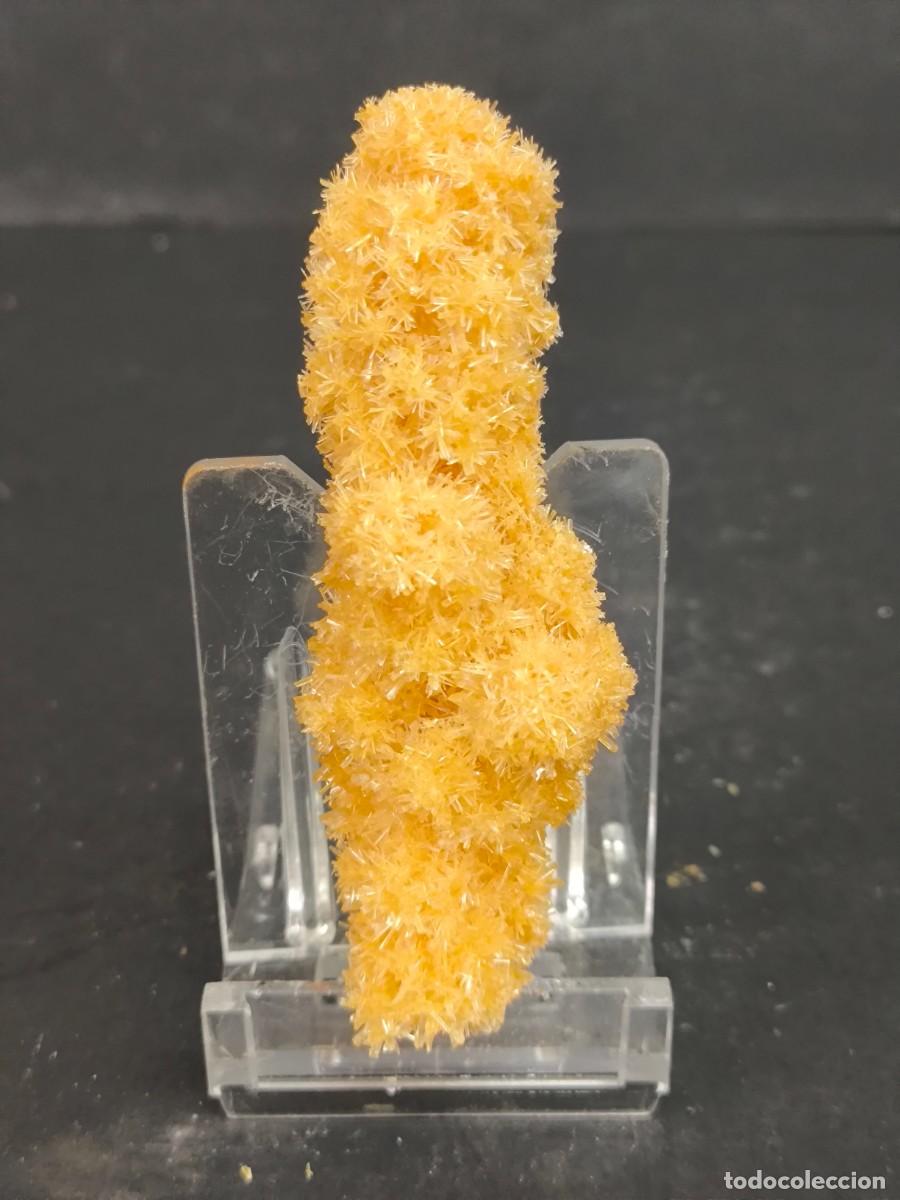 Coleccionismo de minerales: YESO - MINERAL. Guadalajara