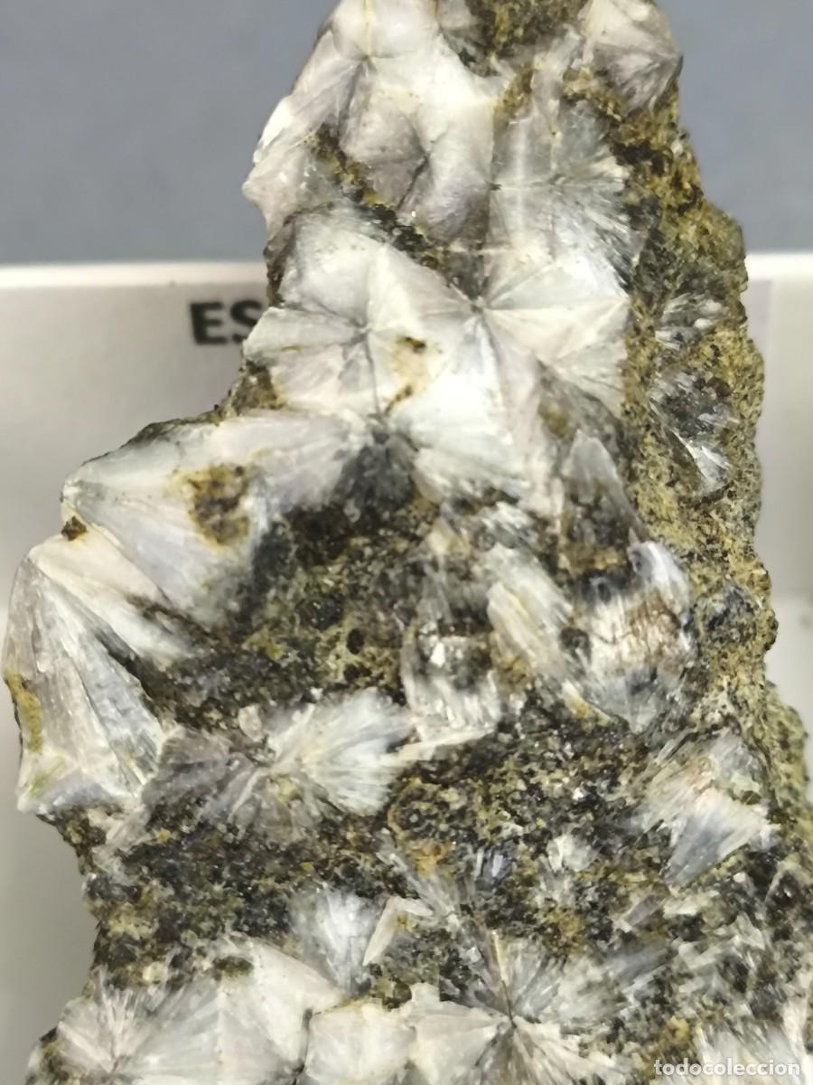 Coleccionismo de minerales: AERENITA - MINERAL. Huesca. 4x4