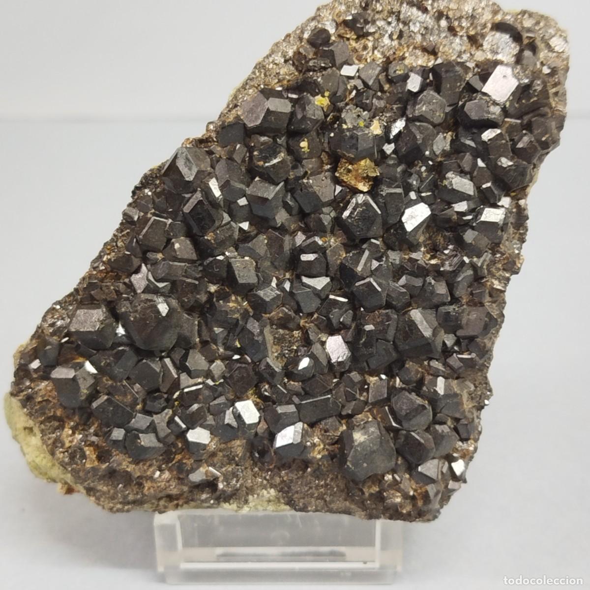 Coleccionismo de minerales: MELANITO (Granate) - Mineral - Foto 3