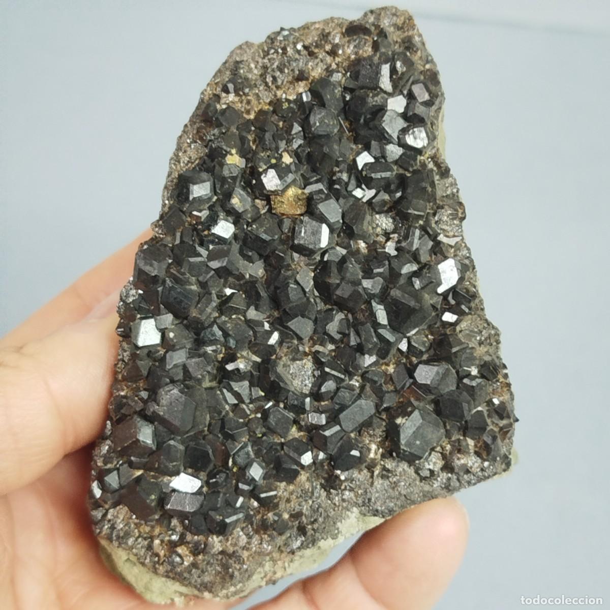 Coleccionismo de minerales: MELANITO (Granate) - Mineral - Foto 5