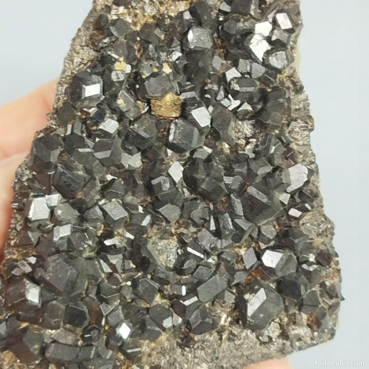 Coleccionismo de minerales: MELANITO (Granate) - Mineral - Foto 6