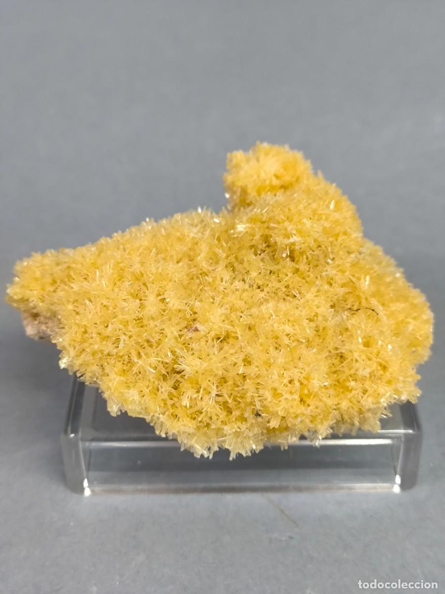 Coleccionismo de minerales: YESO - MINERAL. Guadalajara