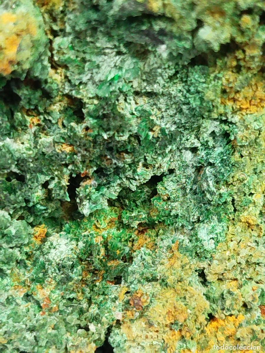 Coleccionismo de minerales: MALAQUITA - MINERAL. Asturias