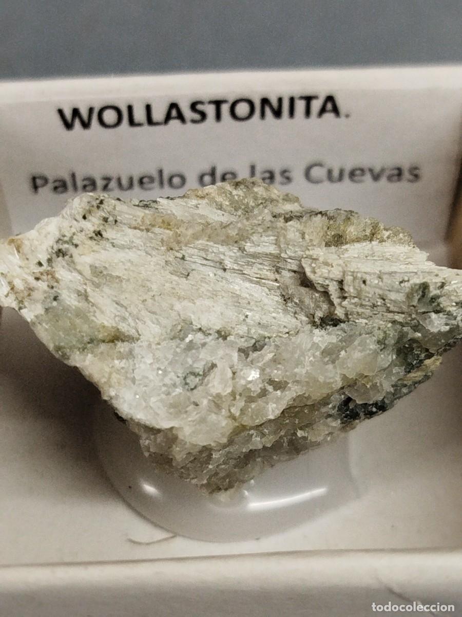 Coleccionismo de minerales: WOLLASTONITA - MINERAL. 4X4 . Zamora