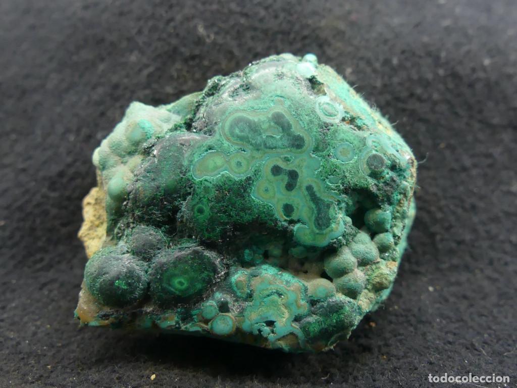 Coleccionismo de minerales: Malaquita, Katanga, Congo