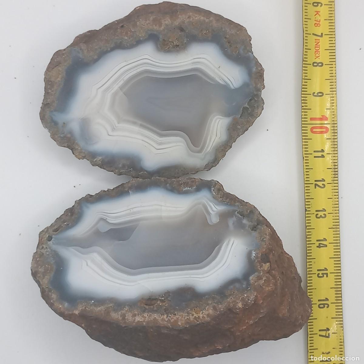 Collezionismo di minerali: N&oacute;dulo de AGATA. Mibladen (Marruecos)