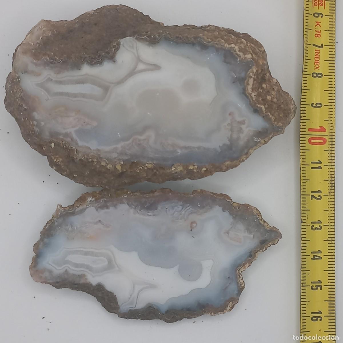 Collezionismo di minerali: N&oacute;dulo de AGATA. Mibladen (Marruecos)