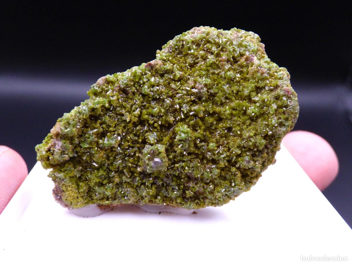 Coleccionismo de minerales: ✅FDMINERALS✅ ⚒️ PIROMORFITA ⚒️ Moravia-Silesia, Rep&uacute;blica Checa - L+2
