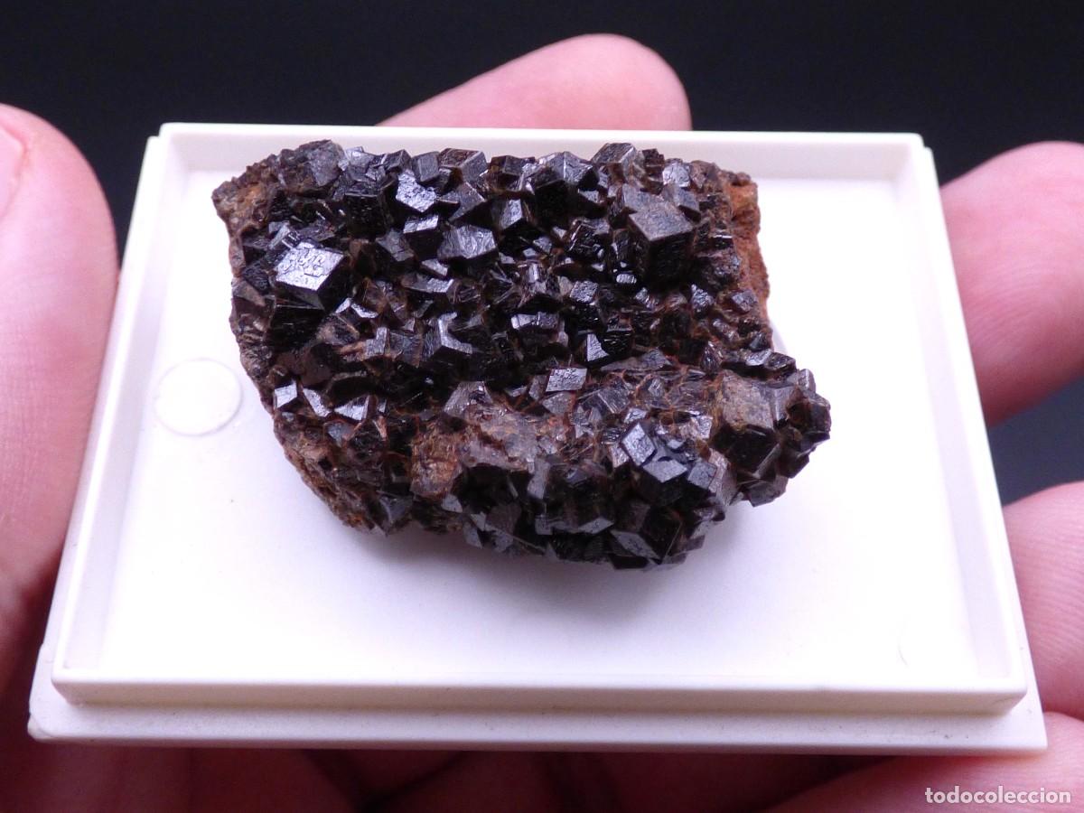 Coleccionismo de minerales: ✅FDMINERALS✅ ⚒️ GRANATE ANDRADITA ⚒️ Mina La Jud&iacute;a, Burguillos del Cerro, Badajoz - L+7