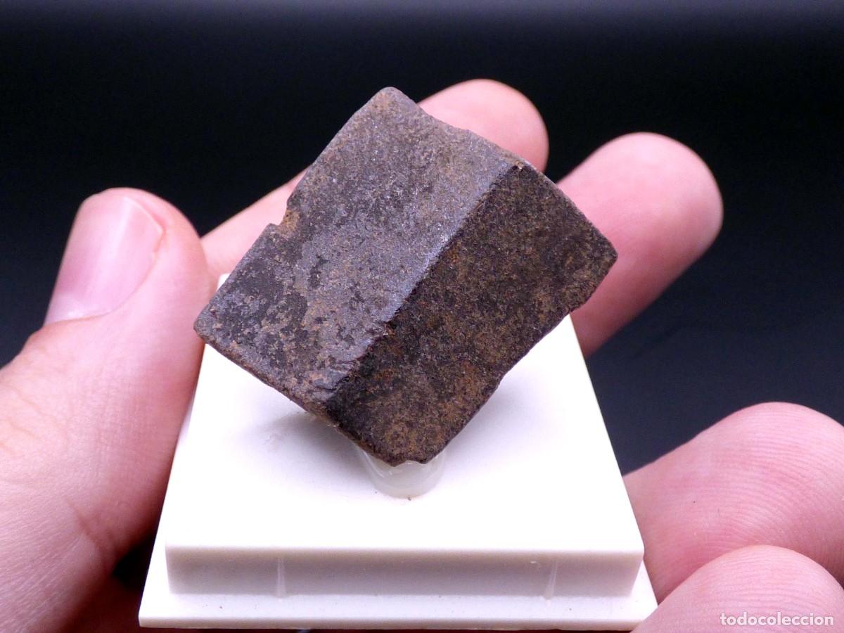 Coleccionismo de minerales: ✅FDMINERALS✅ ⚒️ ESTAUROLITA ⚒️ Zillertal (Vall Ziller), Tirol, Austria - L+24