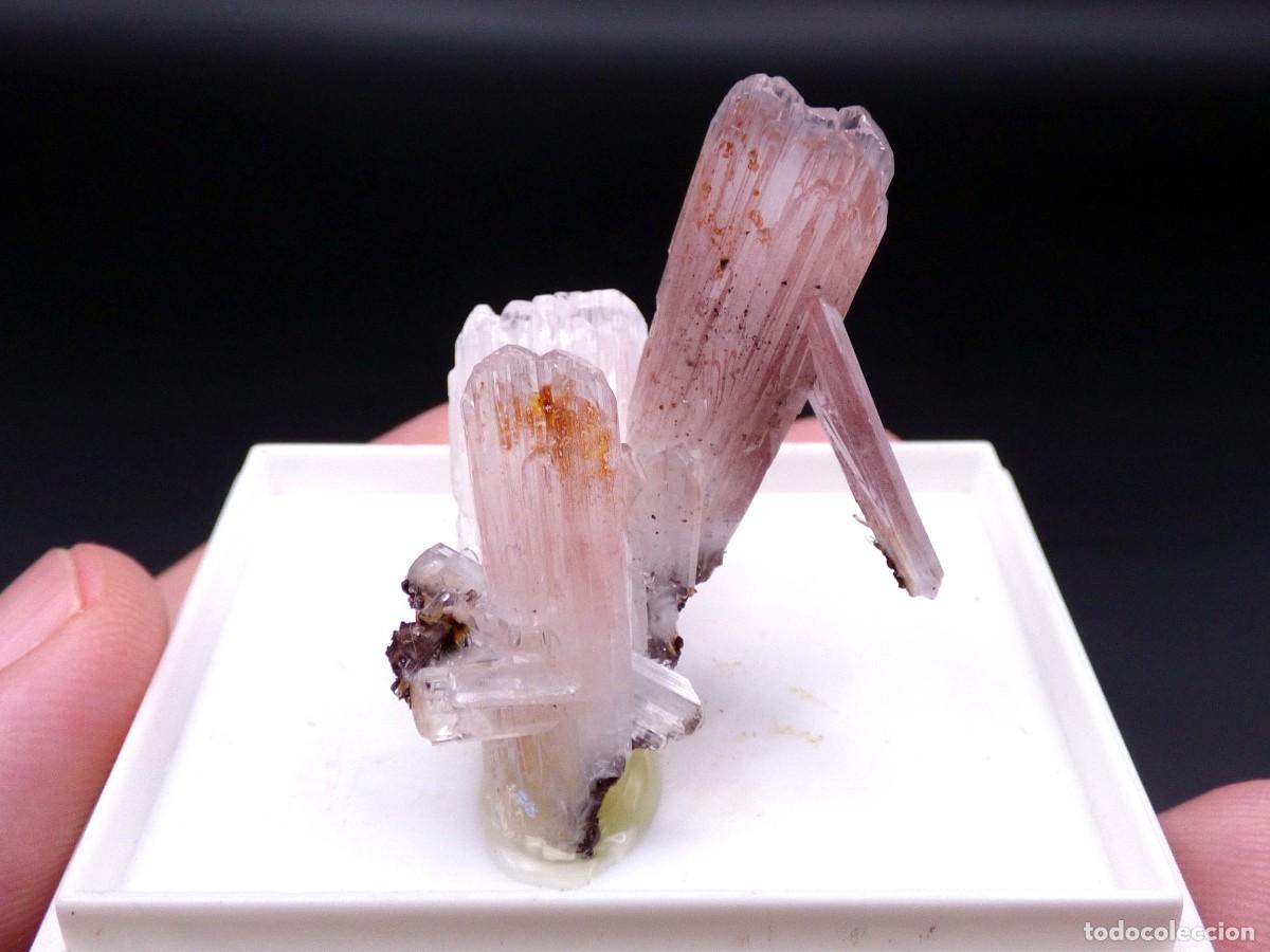 Coleccionismo de minerales: ✅FDMINERALS✅ ⚒️ HEMIMORFITA ⚒️ Aquiles Serd&aacute;n, Chihuahua, M&eacute;xico - L+28