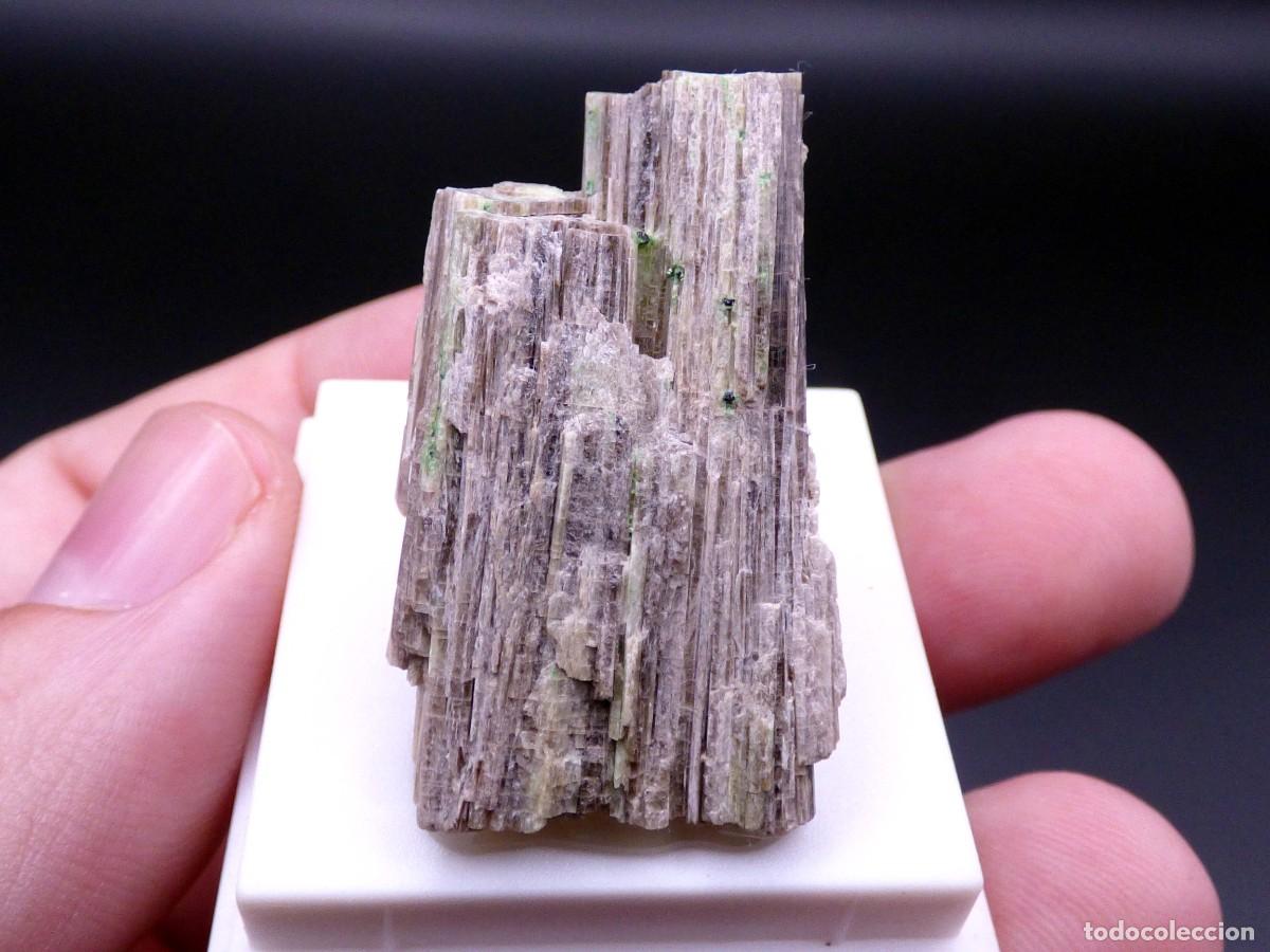 Coleccionismo de minerales: ✅FDMINERALS✅ ⚒️ TREMOLITA Y FLUOR-UVITA ⚒️ Monte San Hilario, Quebec, Canad&aacute; - L+31
