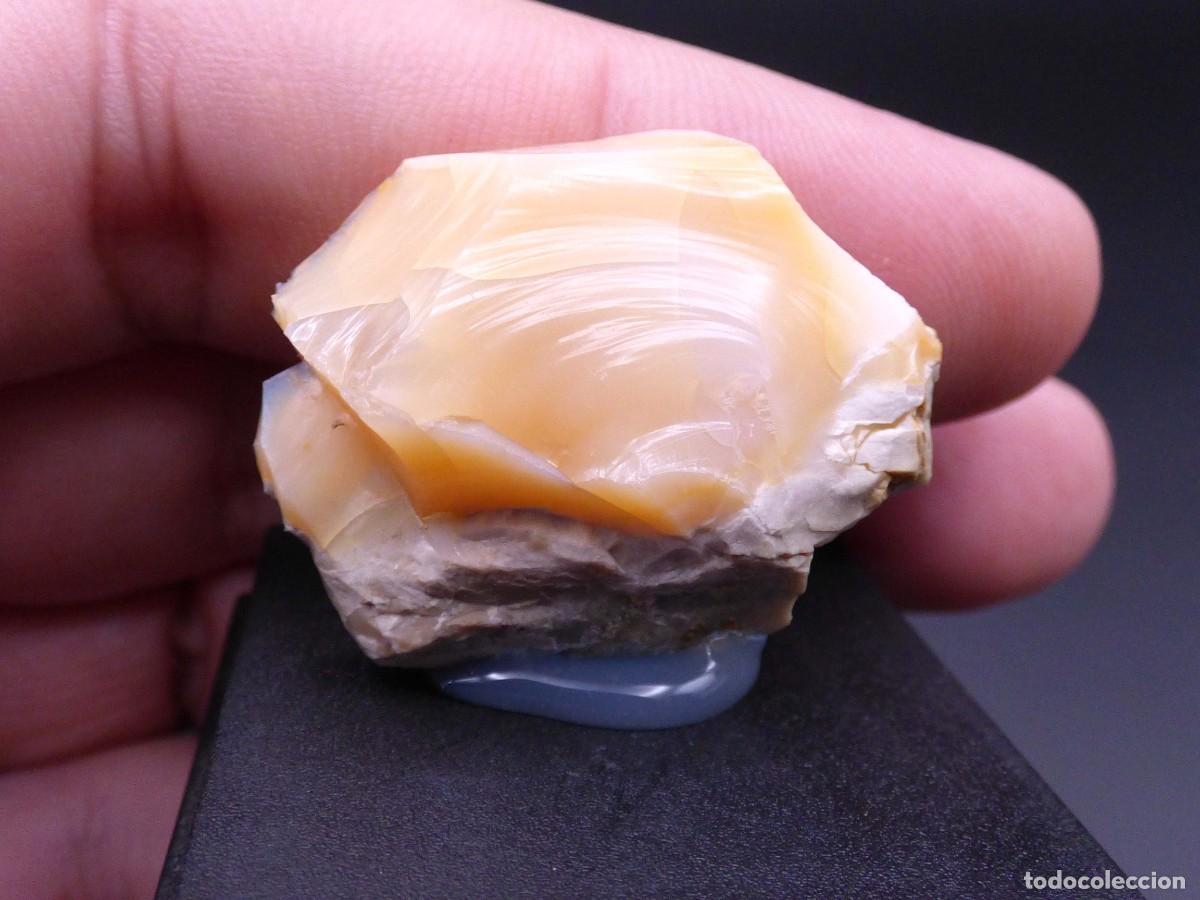 Coleccionismo de minerales: ✅FDMINERALS✅ ⚒️ &Oacute;PALO ⚒️ Virgin Valley, Humboldt County, Nevada, EE.UU - L+35