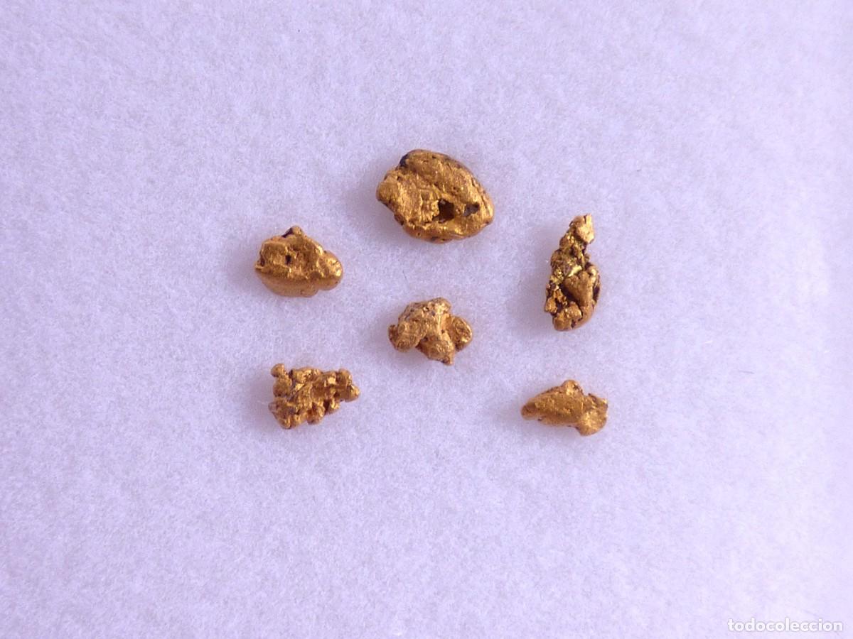 Coleccionismo de minerales: ✅FDMINERALS✅ ⚒️ ORO NATIVO ⚒️ R&iacute;o B&aacute;rcena, Asturias, Espa&ntilde;a - oro51