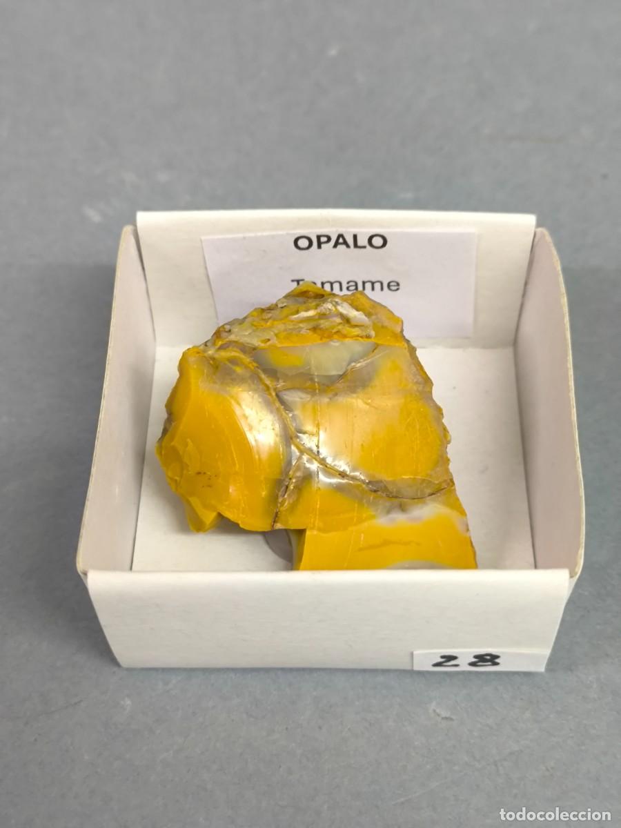 Coleccionismo de minerales: OPALO - MINERAL. Zamora