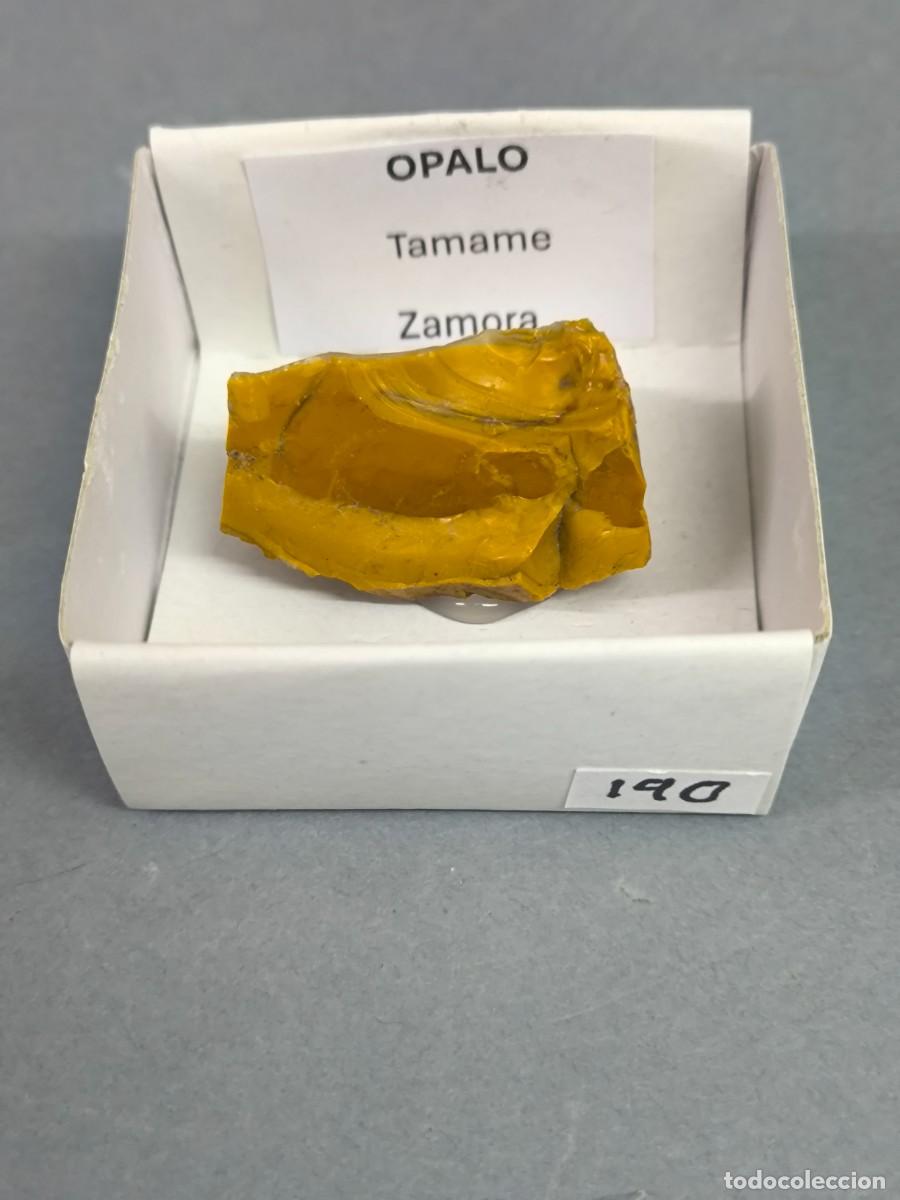 Coleccionismo de minerales: OPALO - MINERAL. Zamora