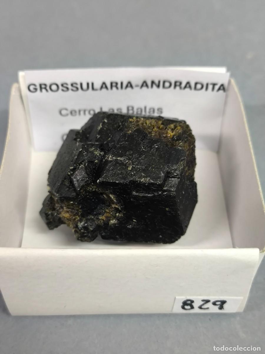 Coleccionismo de minerales: GRANATE GROSSULARIA-ANDRADITA - Mineral