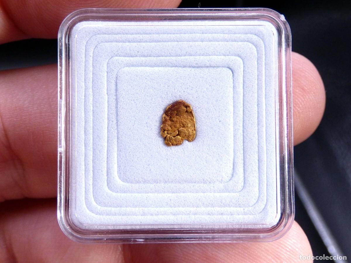 Coleccionismo de minerales: ✅FDMINERALS✅ ⚒️ ORO NATIVO ⚒️ R&iacute;o B&aacute;rcena, Asturias, Espa&ntilde;a - oro52