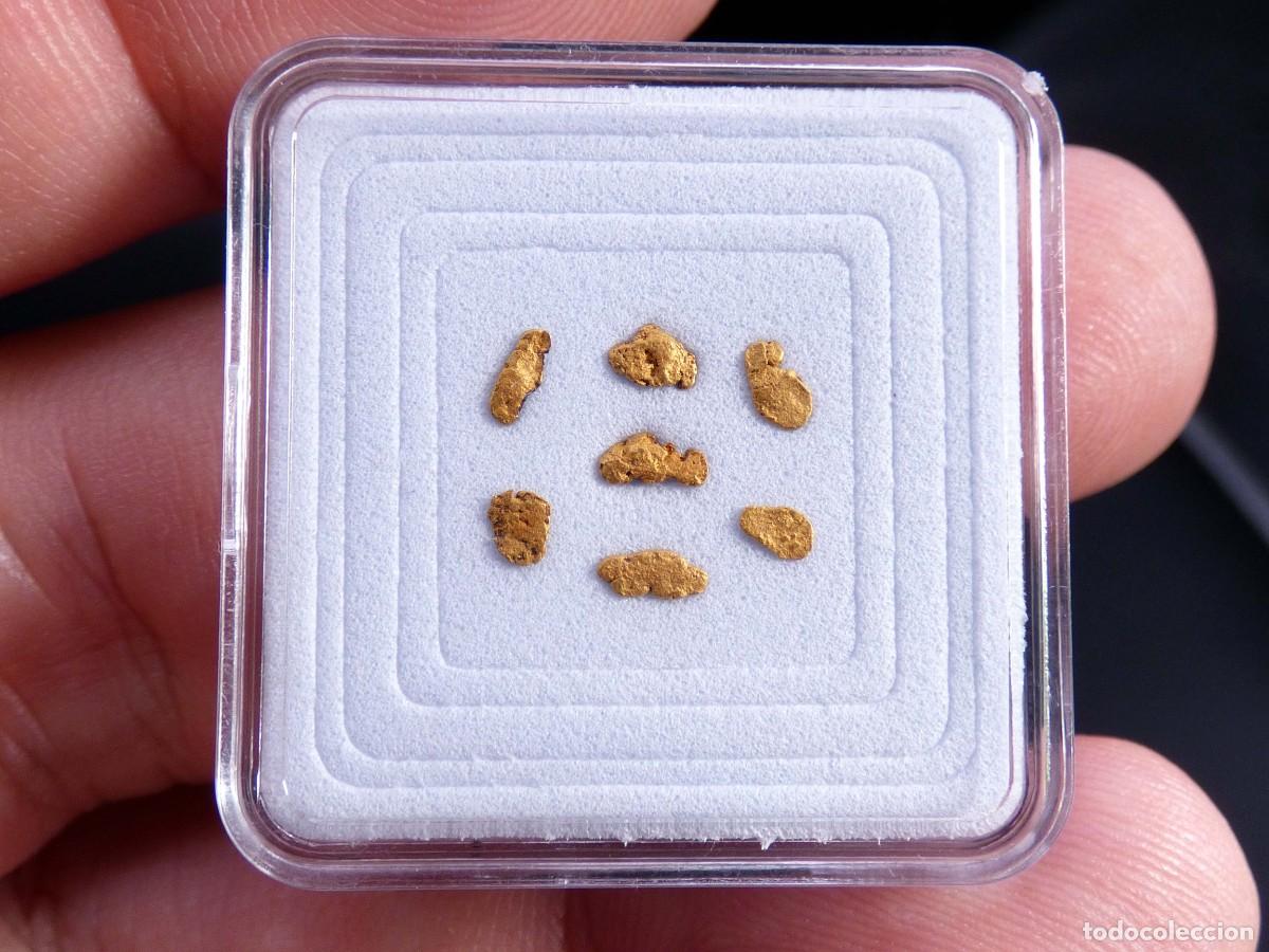 Coleccionismo de minerales: ✅FDMINERALS✅ ⚒️ ORO NATIVO ⚒️ R&iacute;o B&aacute;rcena, Asturias, Espa&ntilde;a - oro53