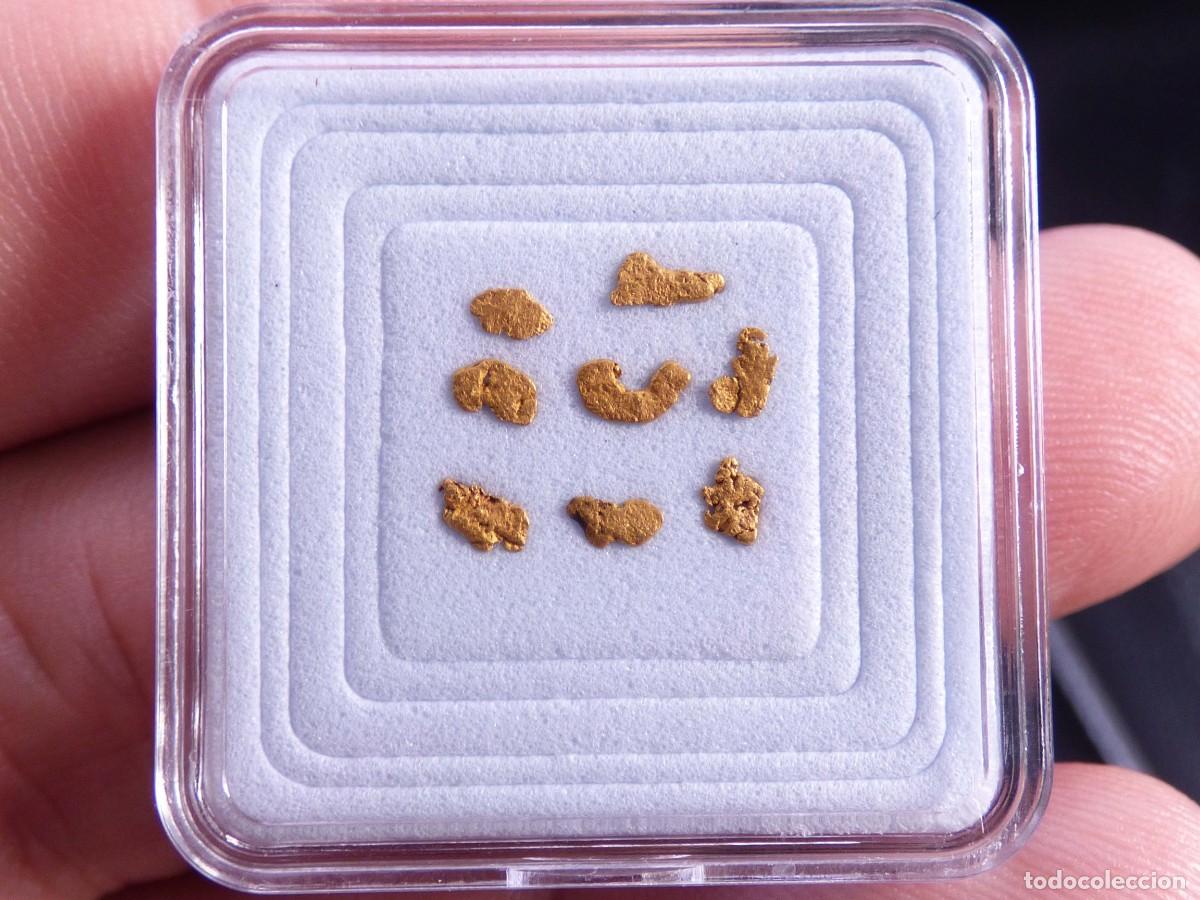Coleccionismo de minerales: ✅FDMINERALS✅ ⚒️ ORO NATIVO ⚒️ R&iacute;o B&aacute;rcena, Asturias, Espa&ntilde;a - oro54