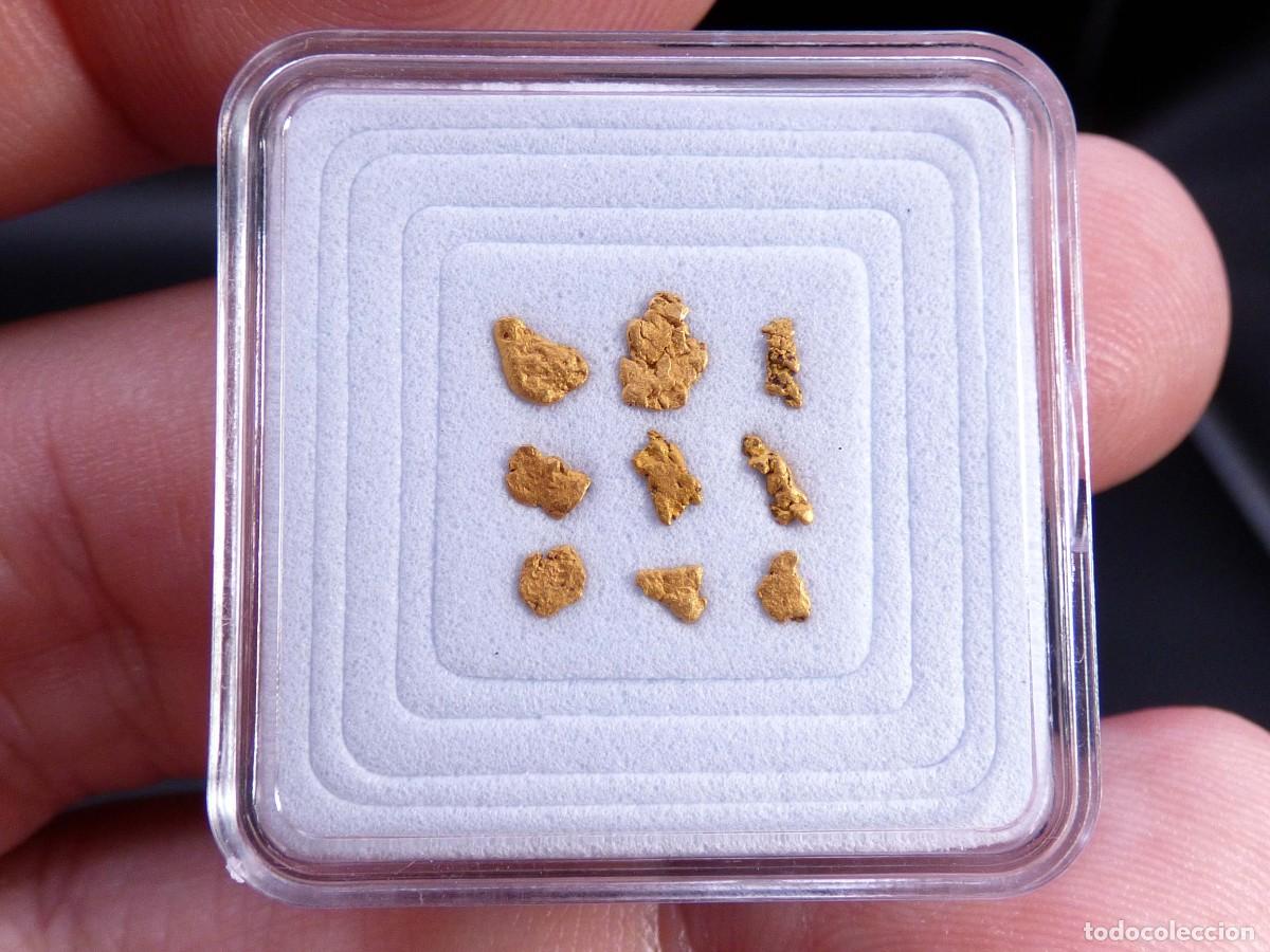 Coleccionismo de minerales: ✅FDMINERALS✅ ⚒️ ORO NATIVO ⚒️ R&iacute;o B&aacute;rcena, Asturias, Espa&ntilde;a - oro55
